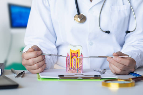 Best Emergency Root Canal Treatment in Rapid Valley, SD